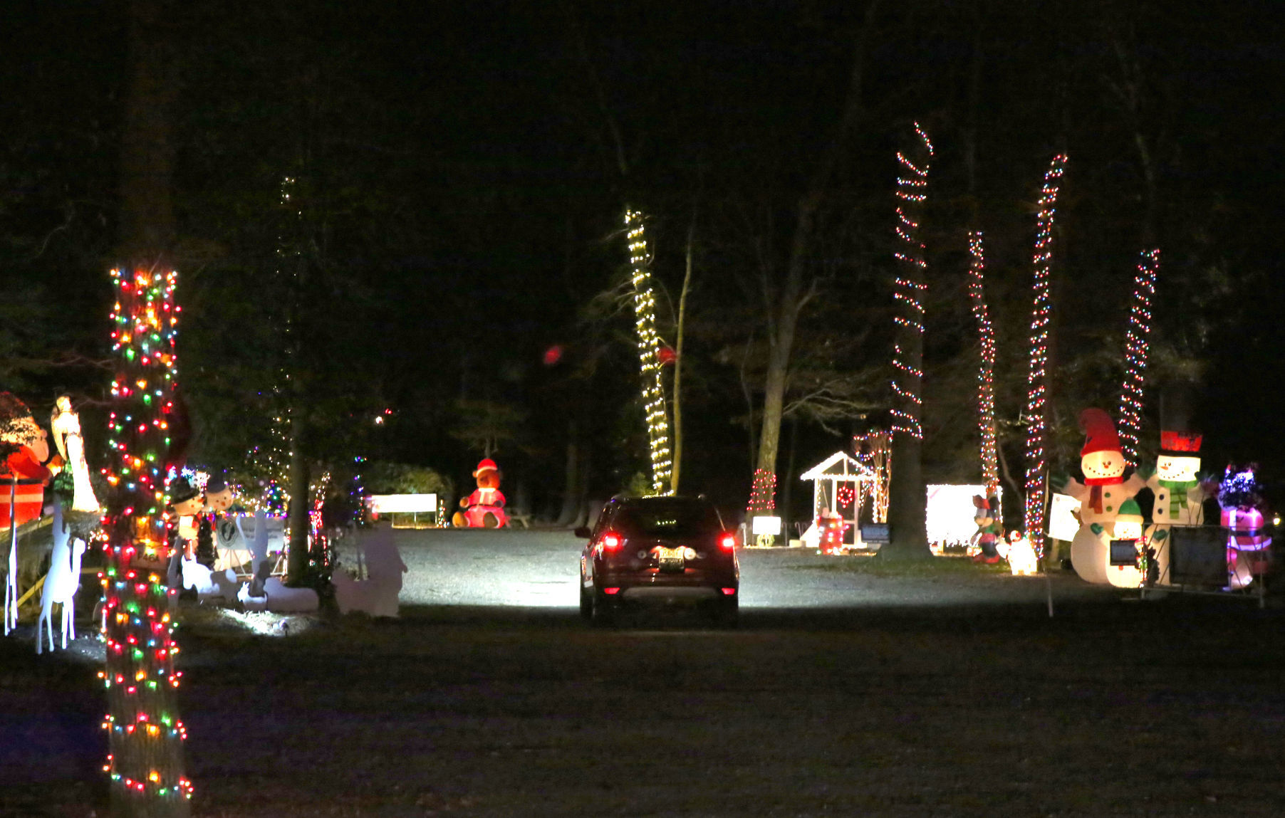 Festival of Lights